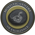 More about Holistic Centre of Excellence More about Holistic Centre of Excellence